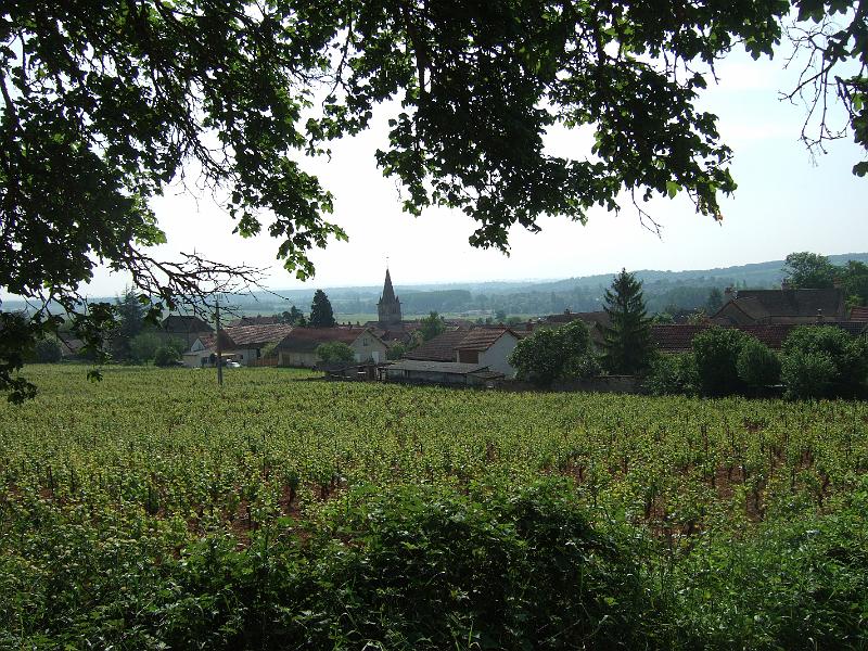 2010-05- (30).JPG - St-Martin-sous-Montaigu